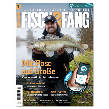 Fisch & Fang 2026/11