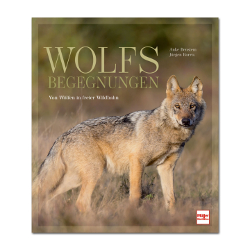 Wolfsbegegnungen