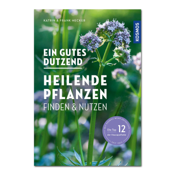 Ein gutes Dutzend heilende Pflanzen finden & nutzen