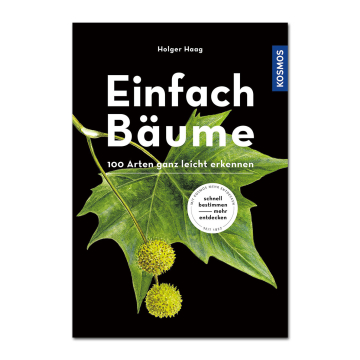 Einfach Bäume
