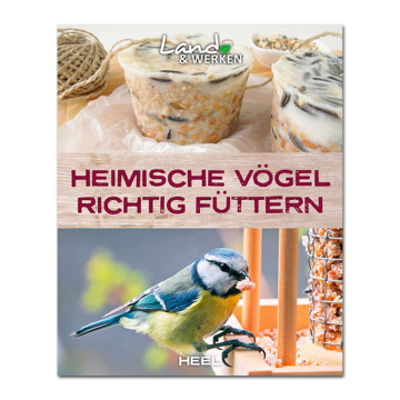 Heimische Vögel richtig füttern