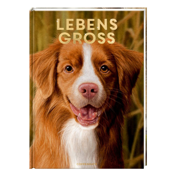 Lebensgroß - Hunde, unsere Gefährten