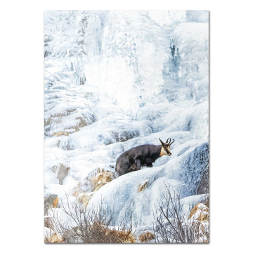 WILD UND HUND Galerie Poster Wintergams