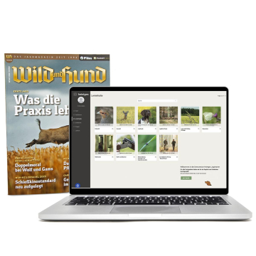 WILD UND HUND Jahresabo E-Paper + Heintges Jagdtrainer