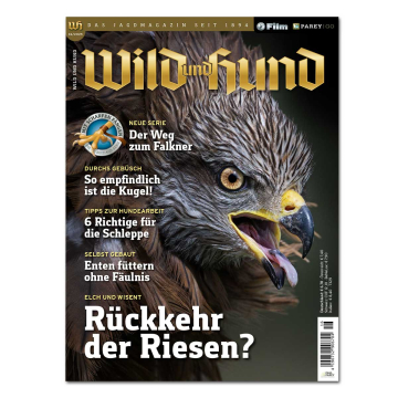 WILD UND HUND 2 digitale Ausgaben gratis und unverbindlich!