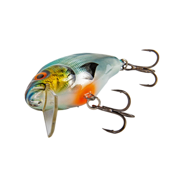 Shimano Yasei Cover Crank F MR 7cm 001 Rainbow Trout │ Crankbaits