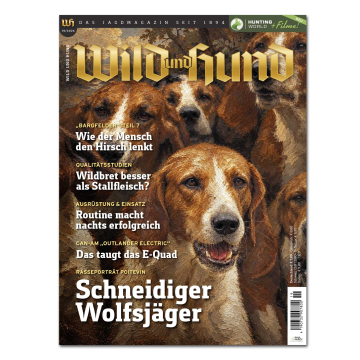Wild und Hund 2026/19