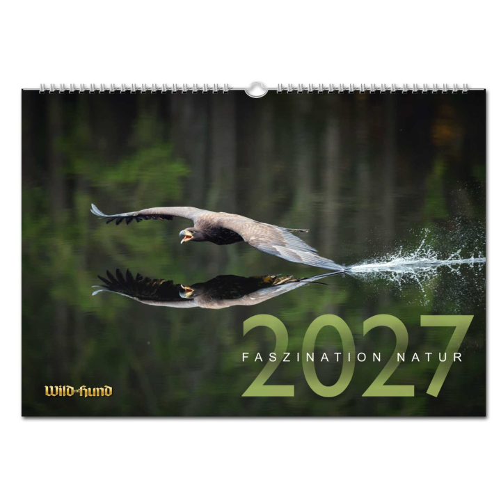 WILD UND HUND Edition: Faszination Natur Kalender 2027