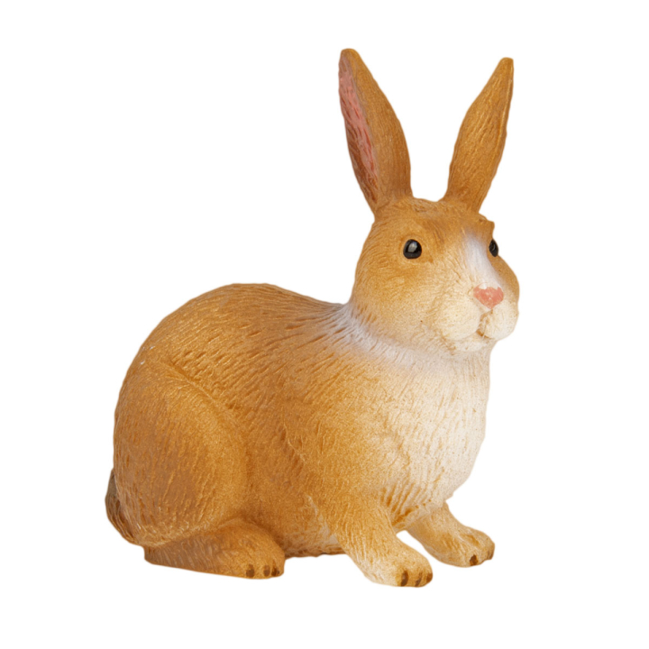 Wildtier Hase