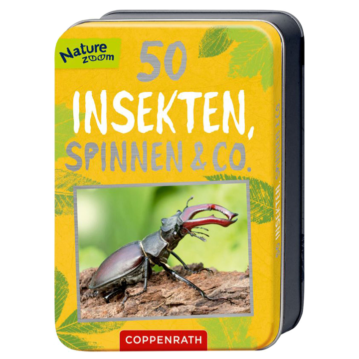 Naturre Zoom: 50 Insekten, Spinnen & Co.