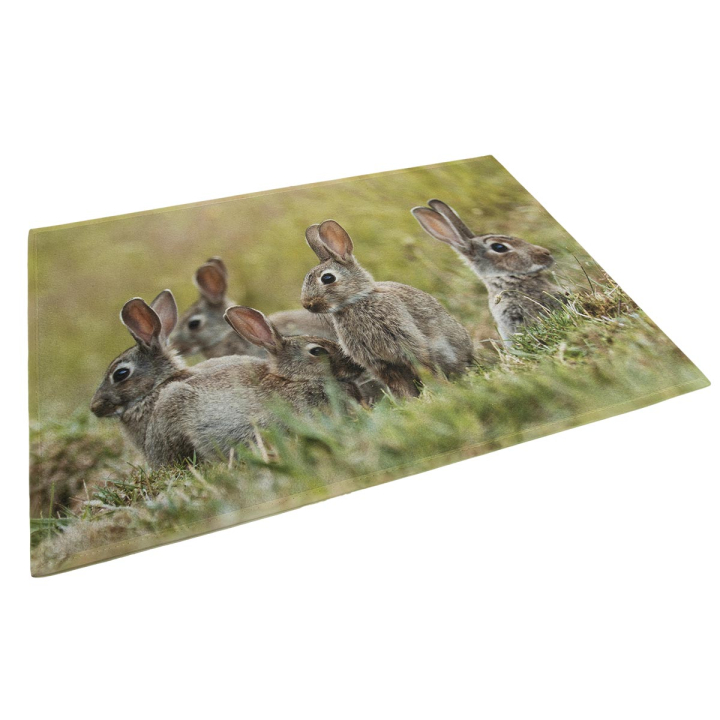Fußmatte Kaninchen Familie 75 x 50 cm