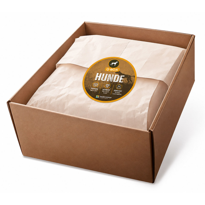 Überraschungsbox „Hunde“