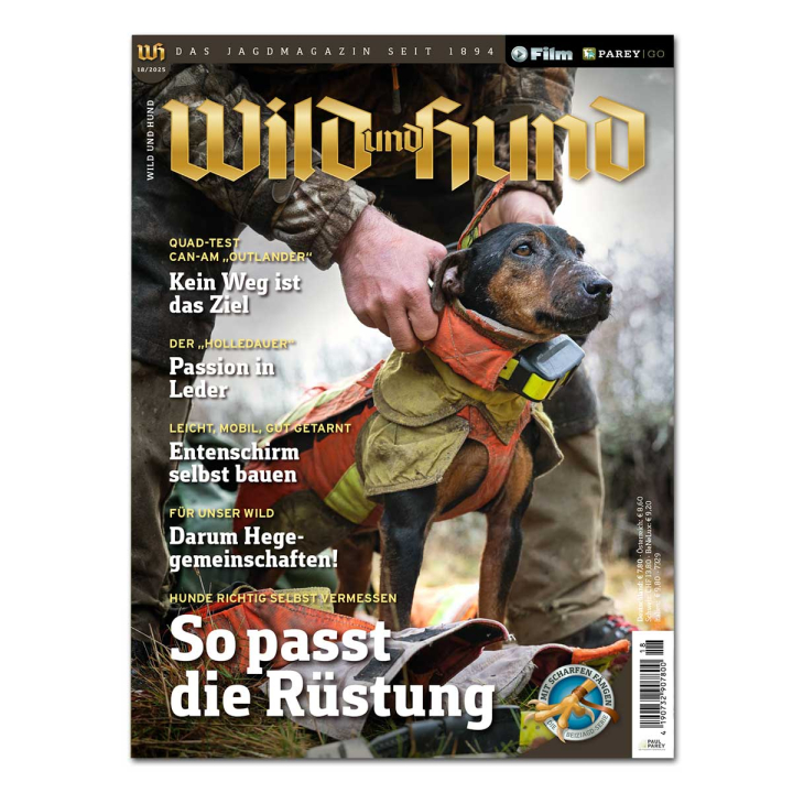 WILD UND HUND ANGEBOT 2025: 22 Hefte + Online-Magazin
