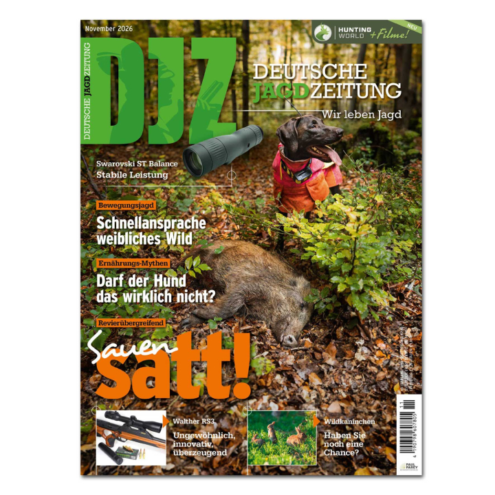 DJZ ANGEBOT 2026: 12 Hefte + E-Paper
