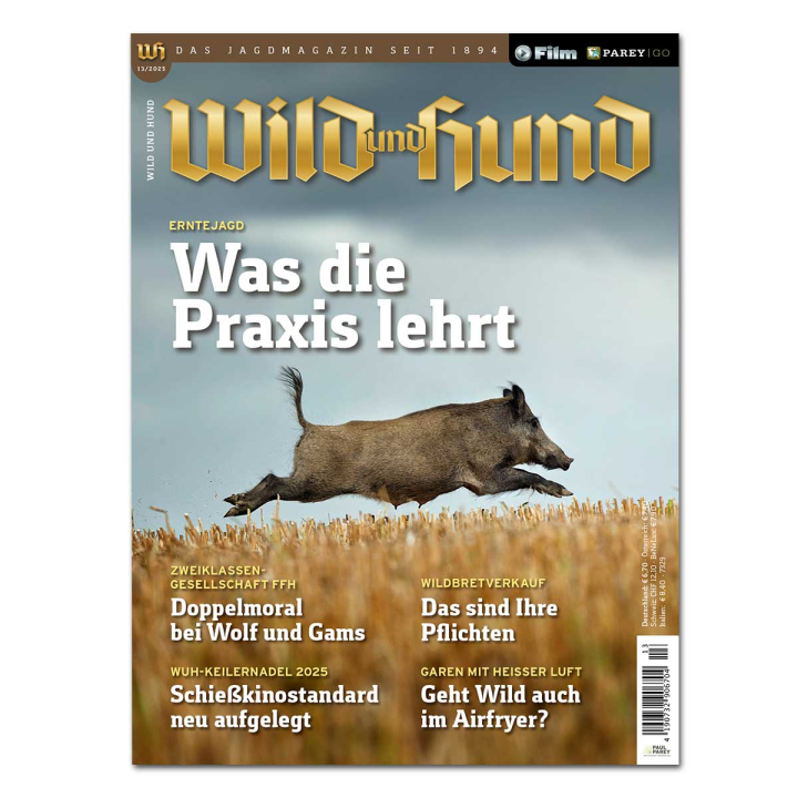 Wild und Hund 2025/13