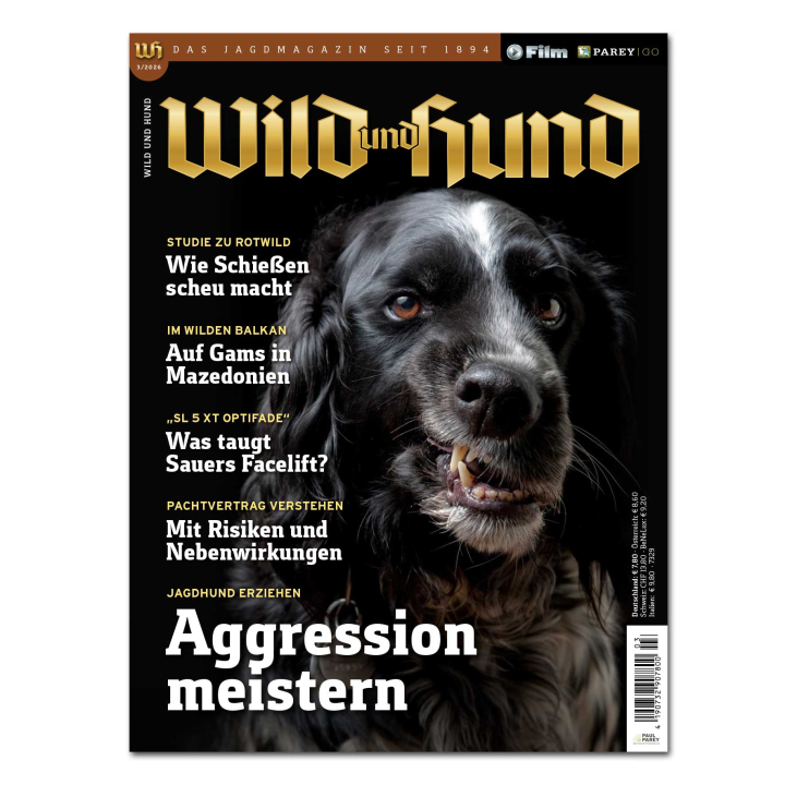 Wild und Hund 2026/03