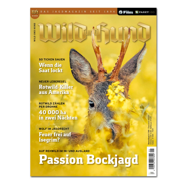 Wild und Hund 2026/09