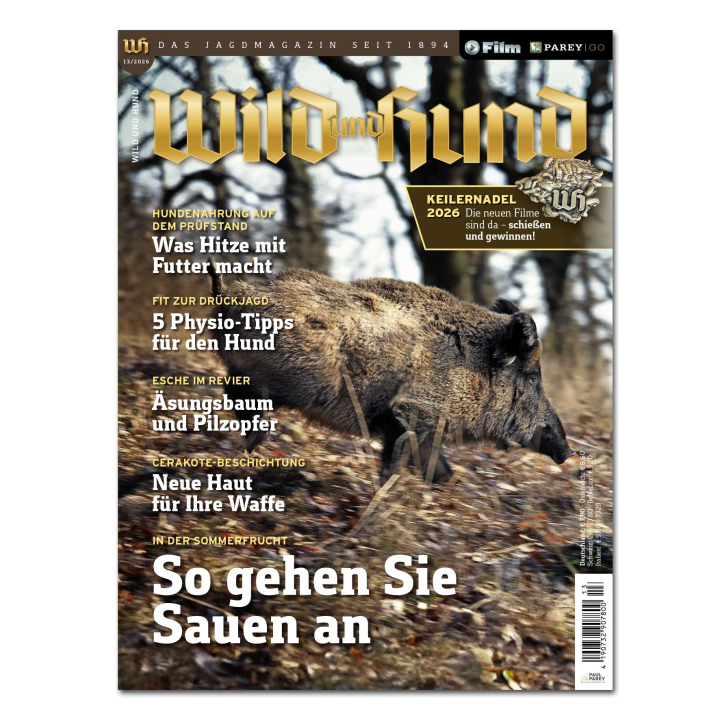 Wild und Hund 2026/13