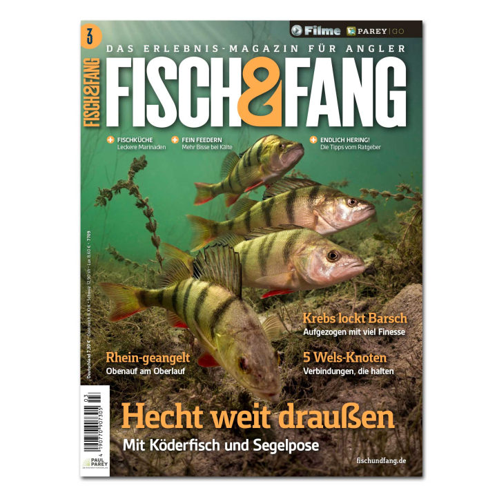 Fisch & Fang 2026/03