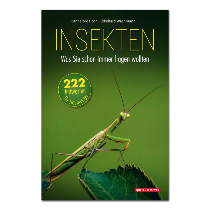 Insekten - Was Sie schon immer fragen wollten