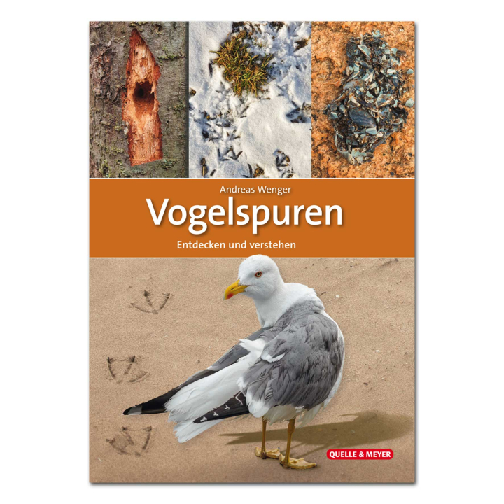 Vogelspuren