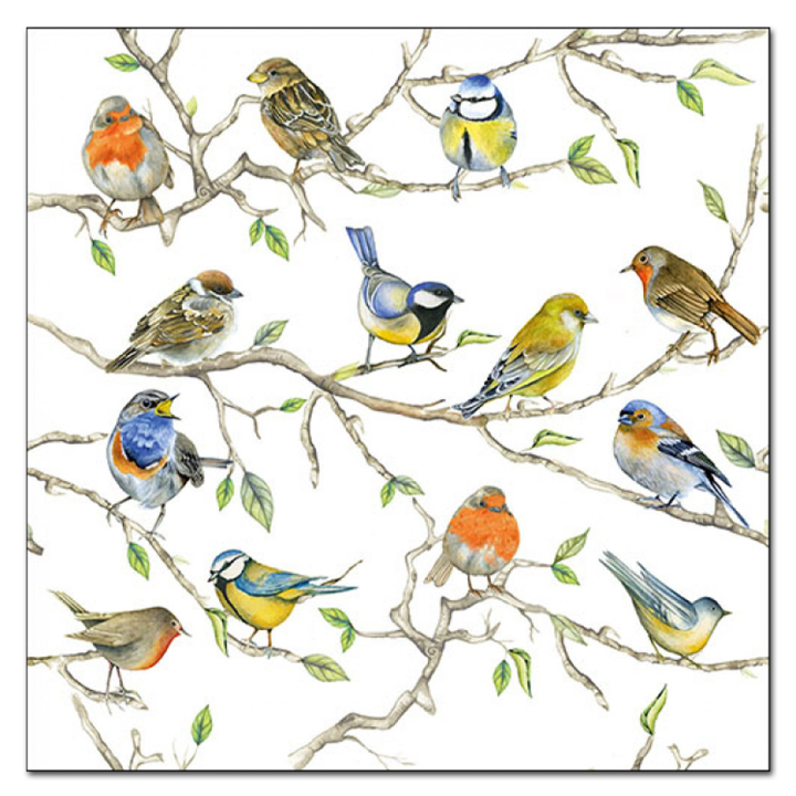 Ambiente Servietten Birds Meeting