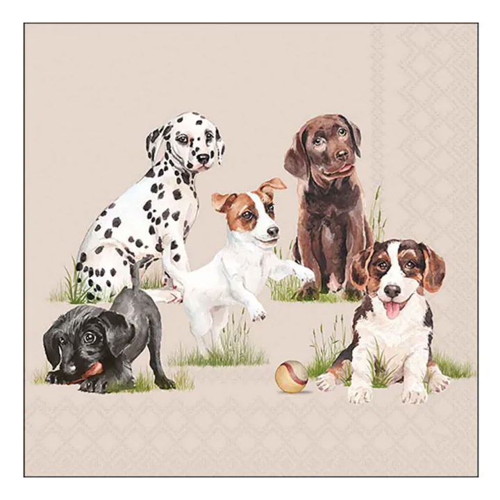 Ambiente Servietten Playing puppies