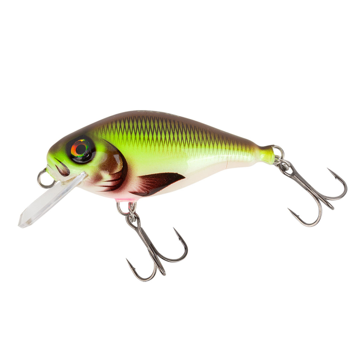 Hybrida Wobbler Typ "C4T" Shallow Crank Fisch & Fang Sonderfarbe: Pumpkin Chartreuse (PCH)