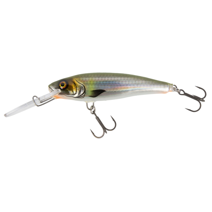 FISCH & FANG Edition: Twitchmaster 85 Grey Ghost