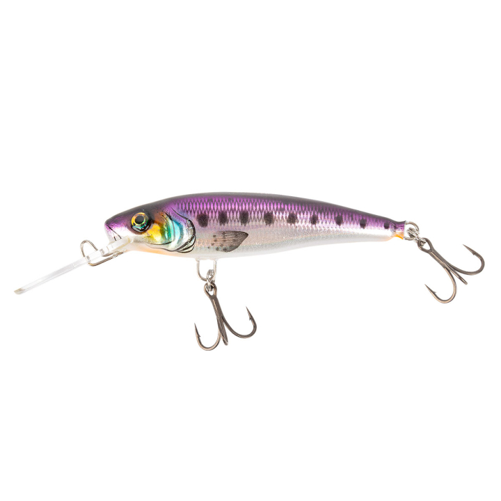 FISCH & FANG Edition: Twitchmaster sinkend Spotted Purple