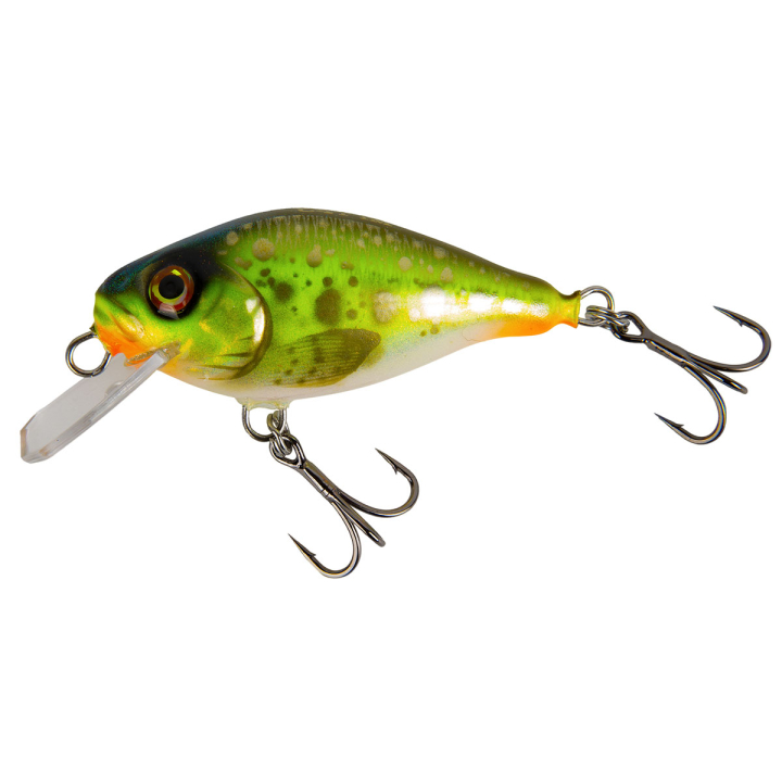 Hybrida Wobbler Typ C4T Shallow Crank Fisch & Fang Sonderfarbe: FROG