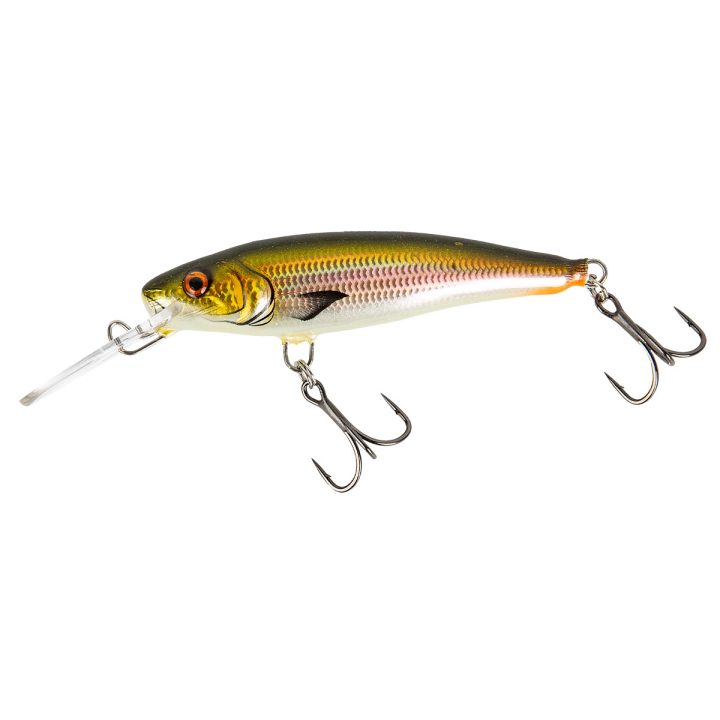 FISCH & FANG Edition: Twitchmaster sinkend Rotauge