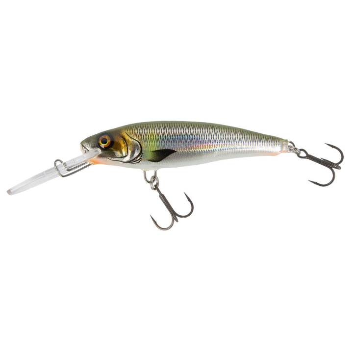 FISCH & FANG Edition: Twitchmaster sinkend Grey Ghost