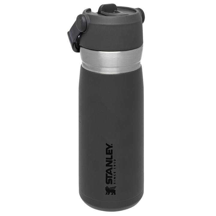 Stanley Becher 0,65 Liter Grau
