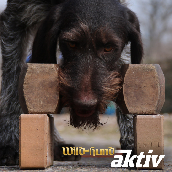 Grundlagen Apport mit Anke und Theodor Heßling