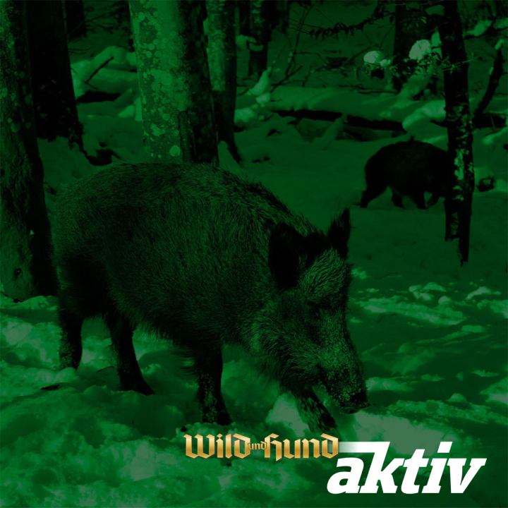 Nachtjagd - Praxisseminar mit aktiver Jagd mit Andreas Bach