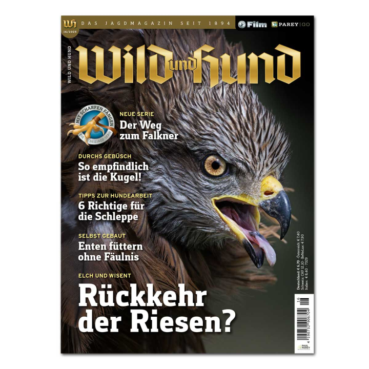 WILD UND HUND ANGEBOT 2025: 22 Hefte + Online-Magazin