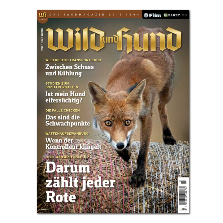 WILD UND HUND Jahresabo + Prämie