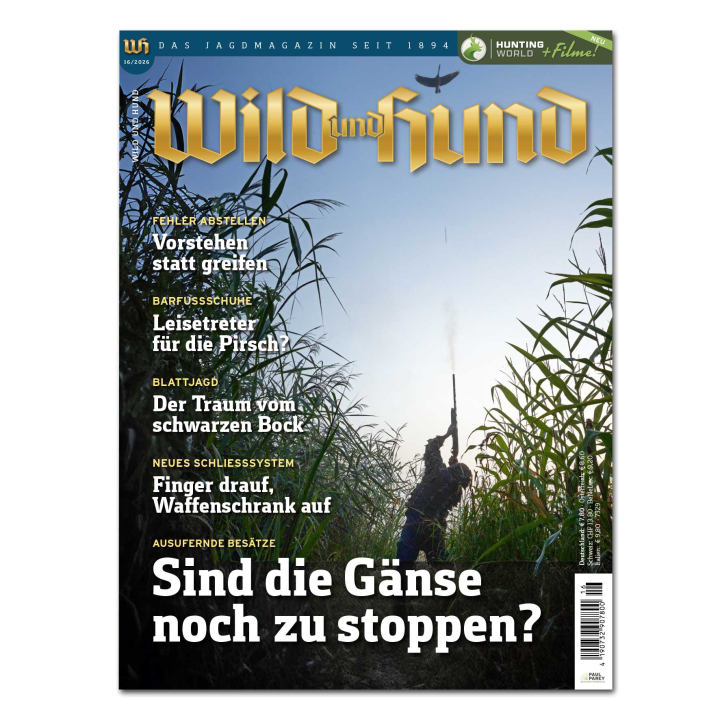 Wild und Hund 2026/16