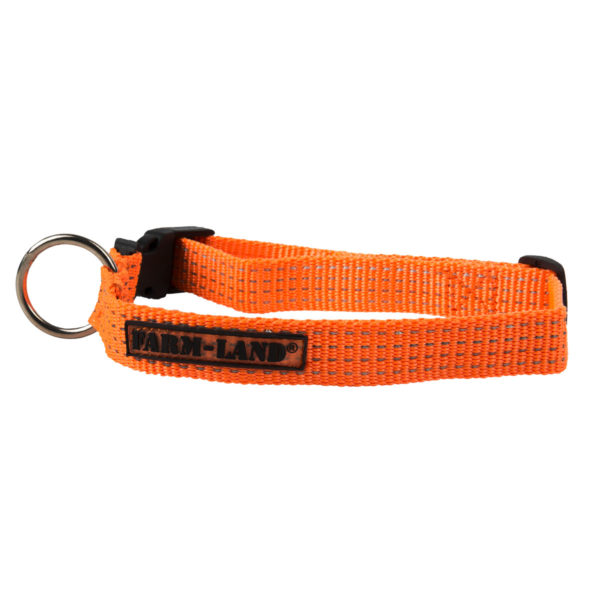 Farm-Land Halsband Orange im Pareyshop