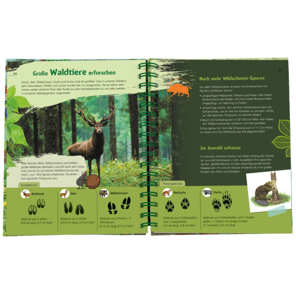 Das Waldforscher-Buch im Pareyshop