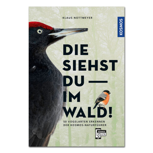 Die siehst du im Wald! 50 Vogelarten erkennen im Pareyshop