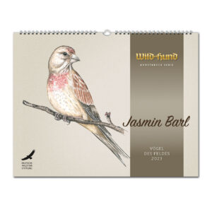 WILD UND HUND Edition: Vögel des Feldes Kunstdruck-Kalender 2023 im Pareyshop