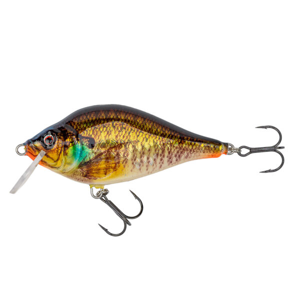 Hybrida Wobbler Typ: "K 1-Crankbait" - schwimmend im Pareyshop