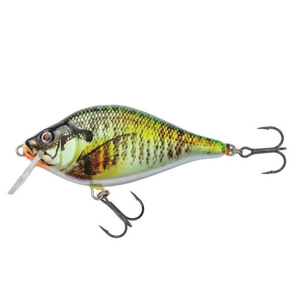 Hybrida Wobbler Typ: "K 1-Crankbait" - schwimmend im Pareyshop