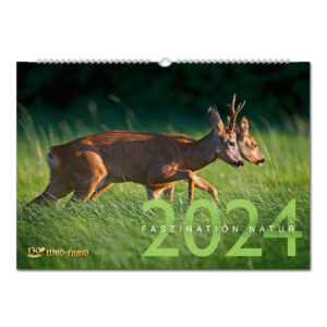 WILD UND HUND Edition: Faszination Natur Kalender 2024 im Pareyshop