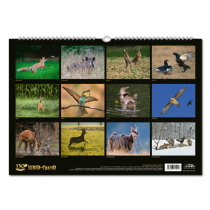 WILD UND HUND Edition: Faszination Natur Kalender 2024 im Pareyshop