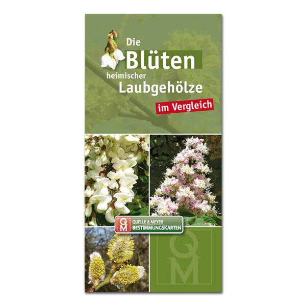 Bestimmungskarte: Die Blüten heimischer Laubgehölze im Vergleich im Pareyshop