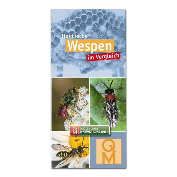 Bestimmungskarte: Heimische Wespen im Vergleich im Pareyshop