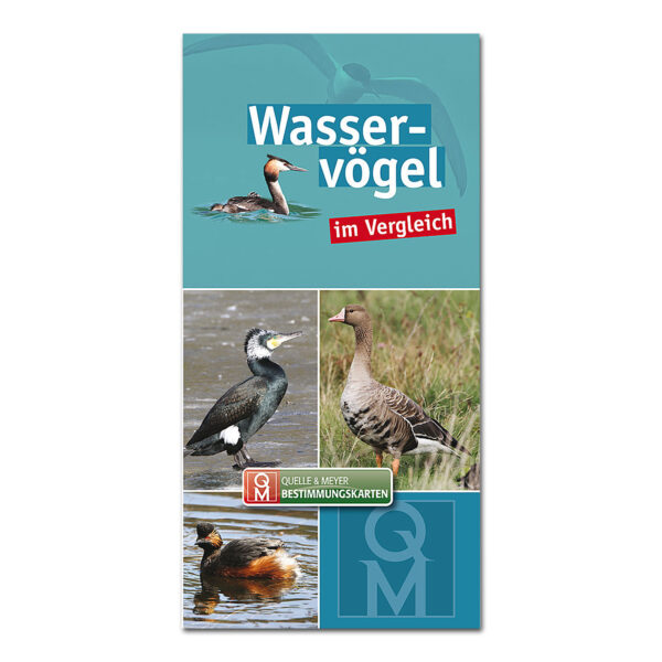 Bestimmungskarte: Wasservögel im Vergleich im Pareyshop